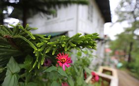 Casa Vallejo Hotel Baguio